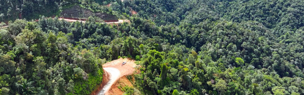 A winding dirt road cuts through a dense, green forested area, creating a cleared path on the hillside.