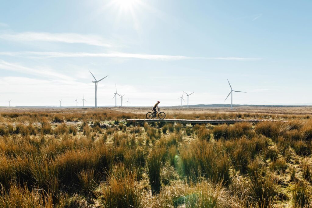 A person rides a bicycle on a path through a grassy field with several wind turbines in the background under a clear sky.