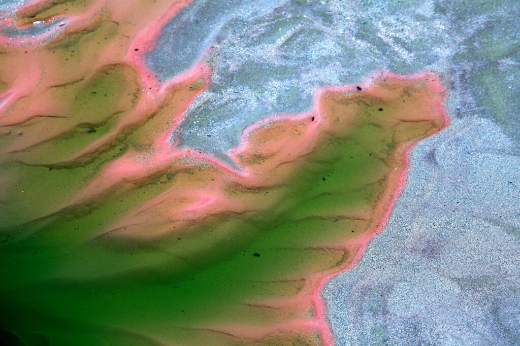 Abstract aerial view of a landscape featuring green, pink, and blue colors blending together with wavy, organic shapes and textured surfaces.