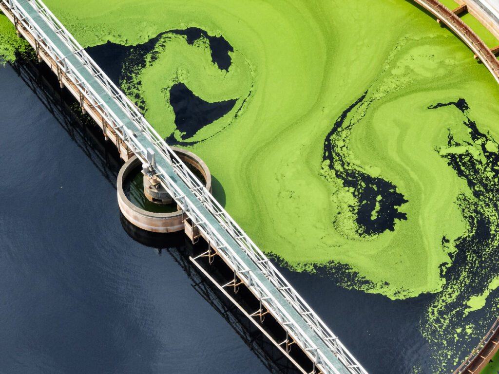 Aerial view of a water treatment facility tank, with green algae on one side and clear, dark water on the other, divided by a bridge structure.
